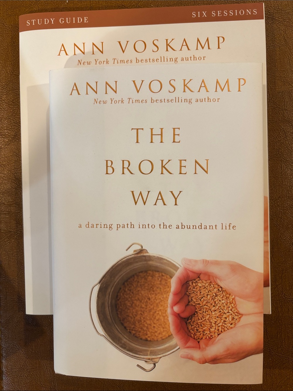 The Broken Way - by Ann Vodkamp